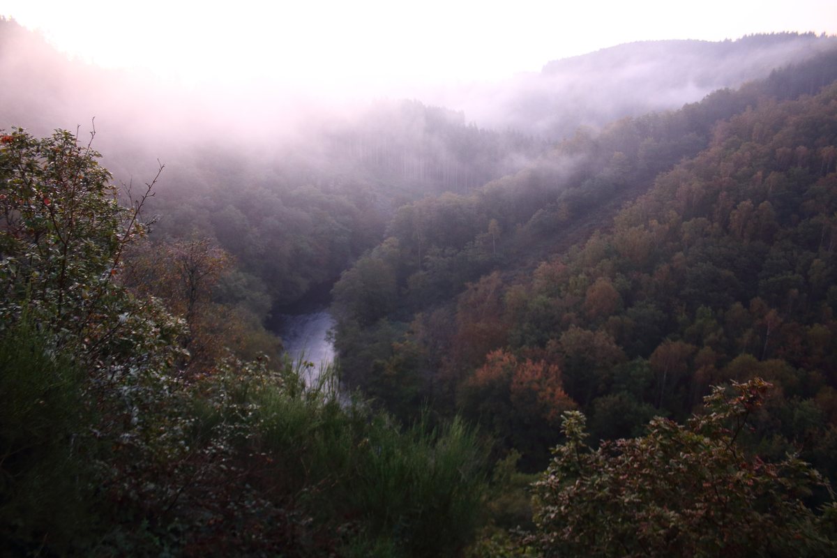 Misty autumn view from the Le H&eacute;rou ridge near Nadrin, Belgium, looking down a steep forested gorge to a glimpse of the Ourthe river far below